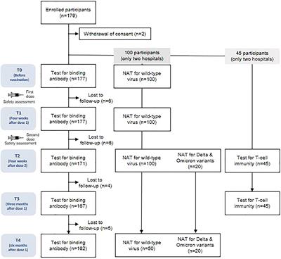 Six-month longitudinal immune kinetics after mRNA-1273 vaccination: Correlation of peak antibody response with long-term, cross-reactive immunity